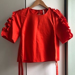 Zara ruffle top NWT